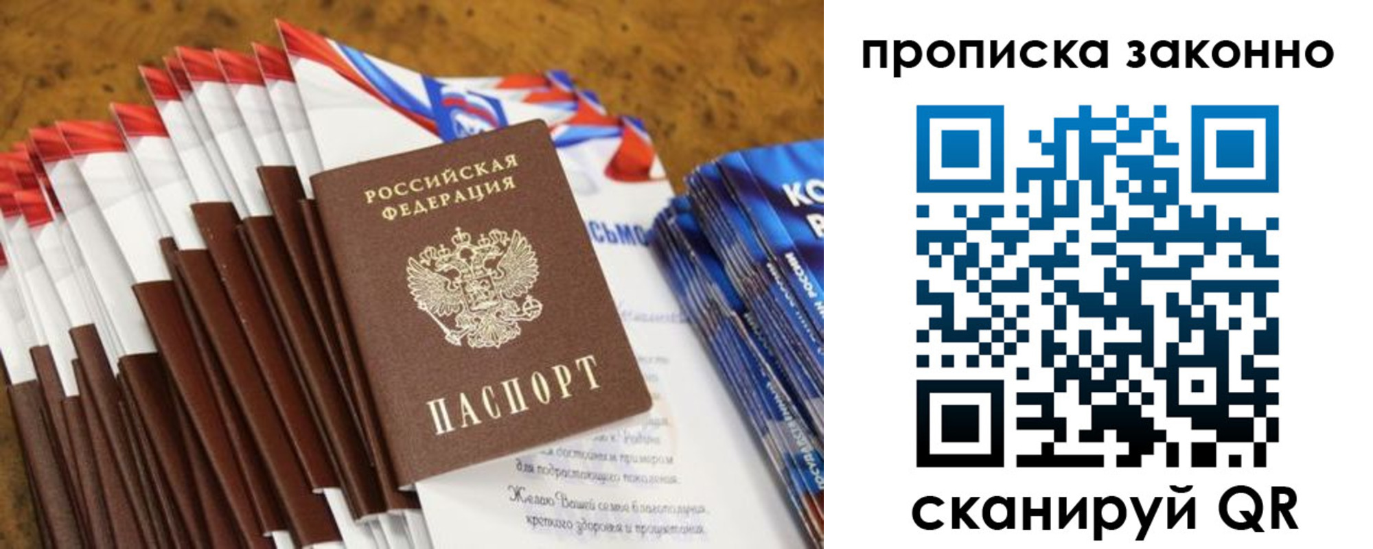 прописка гарантия в Тольятти