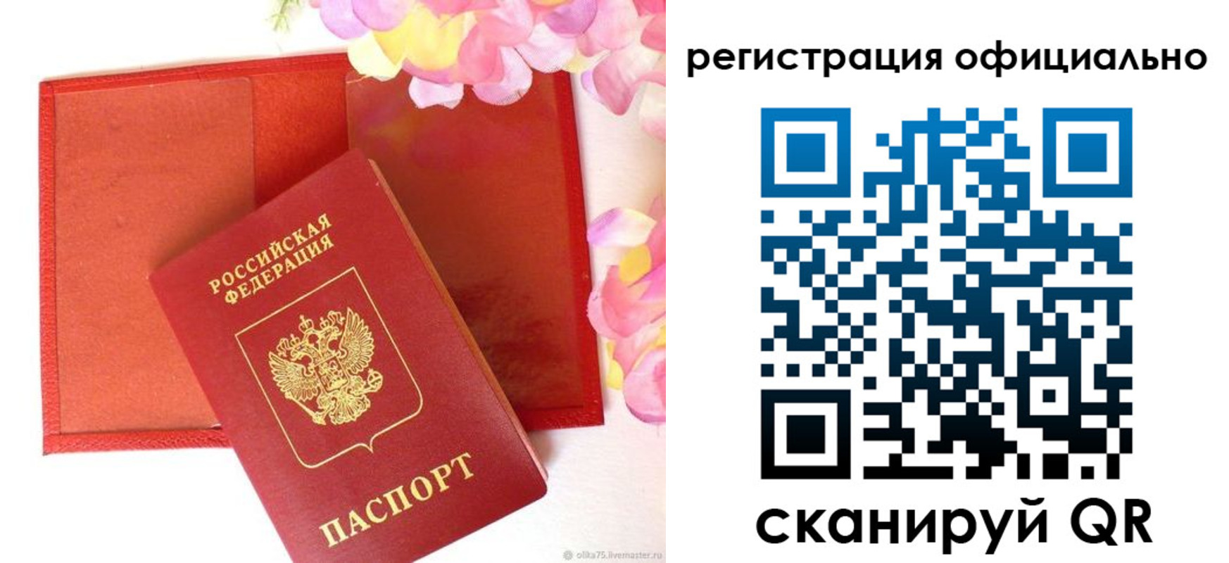 прописка поиск в Тольятти